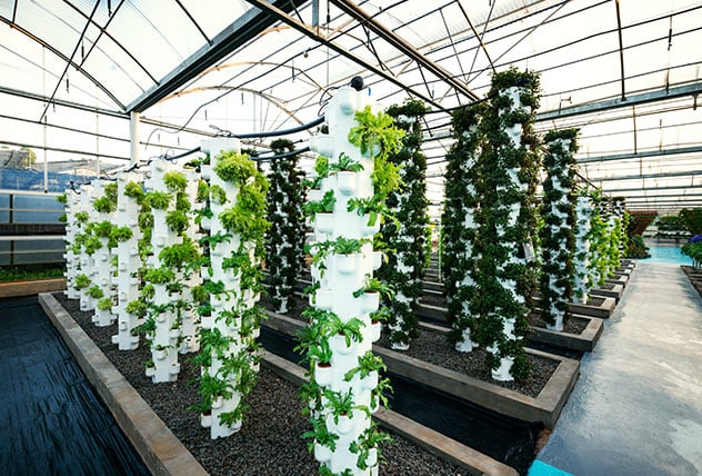 Vertical Farming: The Future Is Automated